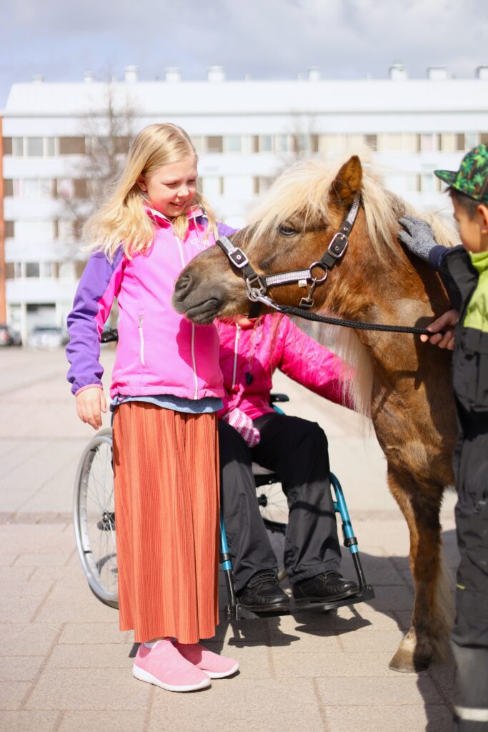 Electric Herman shetlanninponi Talli Poninhäntä Torilla tavataan Kunkku